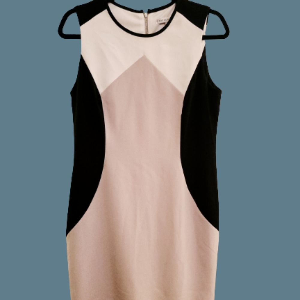 NWOT Sandra Darren Colorblock Sleeveless Sheath Dress